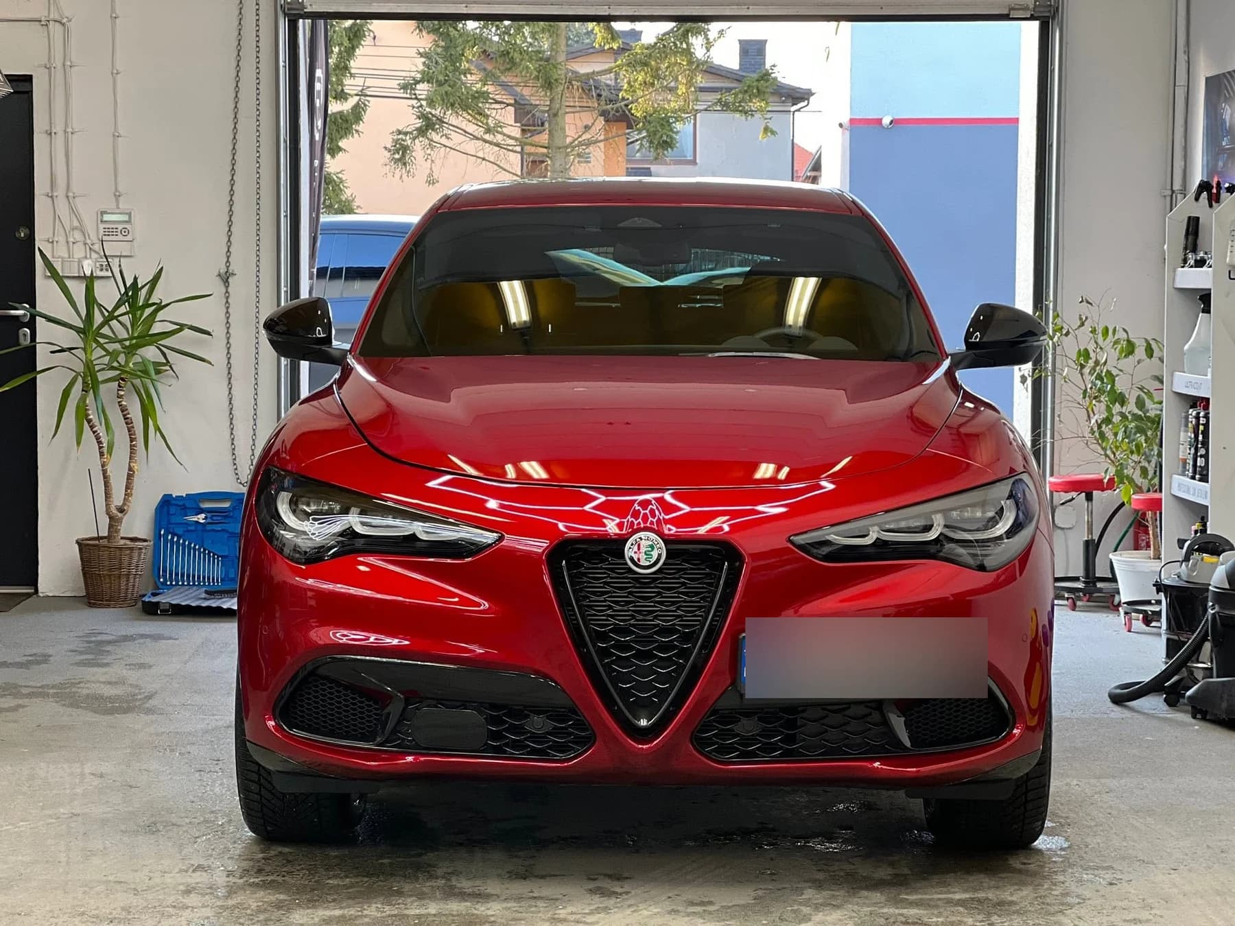 Czerwona Alfa Romeo Stelvio ustawiona w otwartej bramie studia, ujęcie z przodu po zakończonej pielęgnacji.