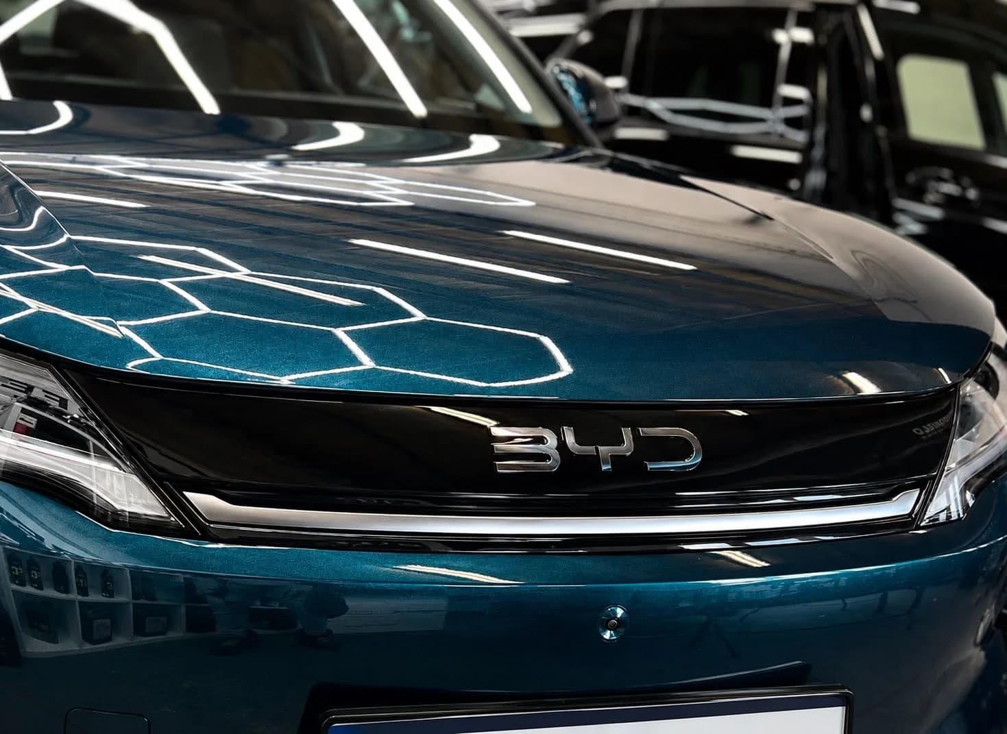 Maska BYD Atto 3 — odbicia lamp studyjnych na zabezpieczonym lakierze